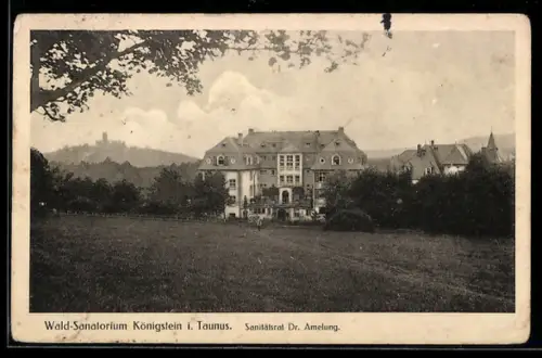 AK Königstein i. Taunus, Wald-Sanatorium, Sanitätsrat Dr. Amelung