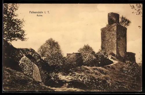 AK Falkenstein i. T., Ruine