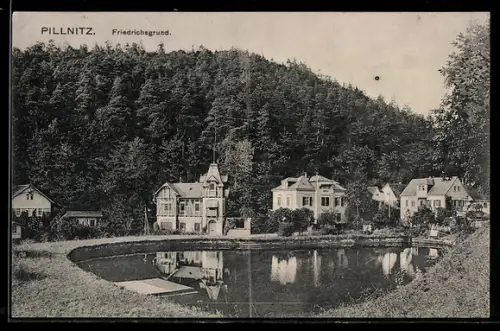 AK Dresden-Pillnitz, Friedrichsgrund, Villen am Teich