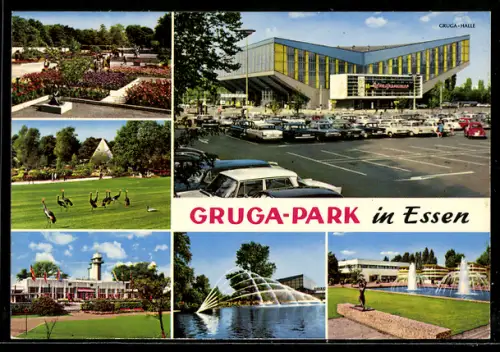 AK Essen, Gruga-Park, Gruga-Halle, Blumenanlagen, Springbrunnen