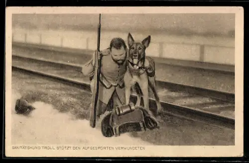 AK Sanitätshund Troll stützt einen aufgespürten Verwundeten