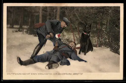 AK Sanitätshund Ago hat einen Verwundeten vor dem erfrieren errettet