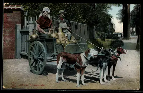 AK Laitière Flamande, Hundegespann zum Milchtransport