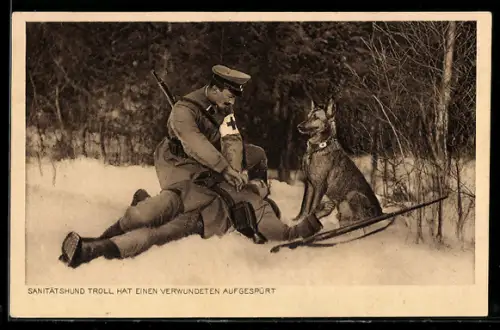 AK Sanitätshund Troll hat einen Verwundeten aufgespührt