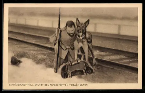 AK Sanitätshund Troll stützt einen aufgespürten Verwundeten