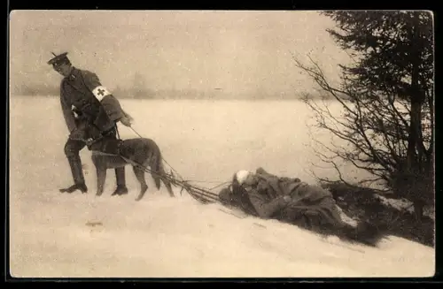 AK Sanitätshund zieht den Verwundeten auf den Skiers seines Führers