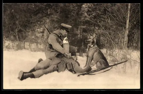 AK Sanitätshund Troll hat einen Verwundeten aufgespürt