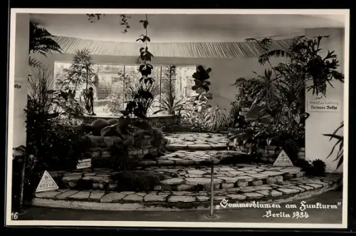 AK Berlin, Ausstellung Sommerblumen am Funkturm 1934, Subtropischer Wintergarten