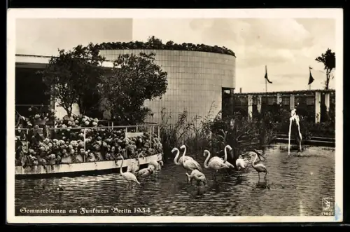 AK Berlin, Sommerblumen am Funkturm bei der Ausstellung 1934