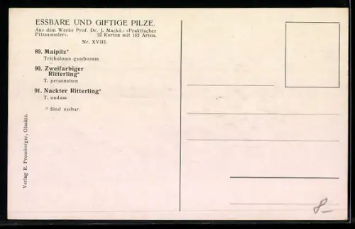 AK Pilze, Maipilz, Zweifarbiger Ritterling, Nackter Ritterling