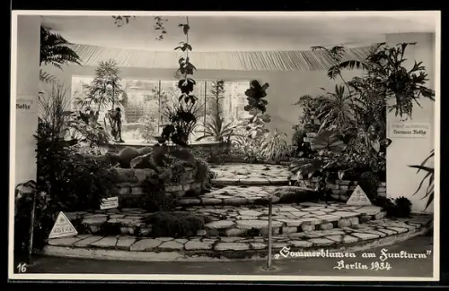 AK Berlin, Ausstellung Sommerblumen am Funkturm 1934, Subtropischer Wintergarten