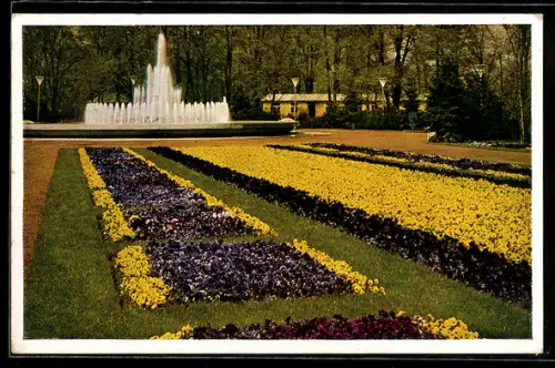 AK Dresden, Reichsgartenschau 1936, Blick v. grossen Blumenparterre n. d. Leuchtfontäne, Ausstellung