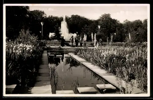 AK Dresden, Jahresschau 1937 Garten und Heim, Irisgarten