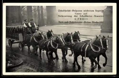 AK Berlin, Reit- und Fahrturnier - Grüne Woche 1937, Schultheiss-Gespanne, Siebenerzug
