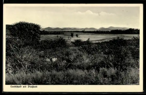 AK Deutsch-Südwest-Afrika, Landschaft mit Flussbett