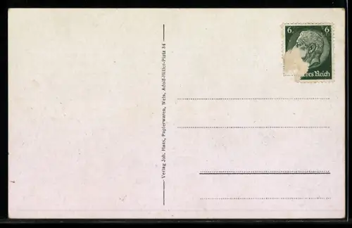 AK Wels, Totalansicht