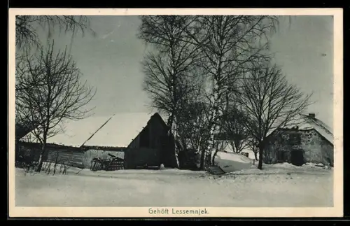 AK Lessemnjek, Winterlich verschneites Gehöft