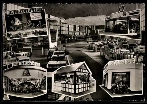 AK Berlin, Deutsche Gastwirts-, Konditoren- & Nahrungsmittelausstellung 1960, Wurzelpeter, Scharlachberg, Mampe