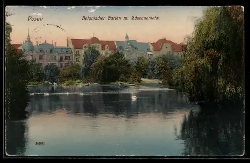 AK Posen / Poznan, Botanischer Garten mit Schwanenteich