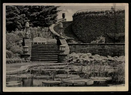 AK Essen, Gruga-Park, Warmwasserbecken, Ausstellung