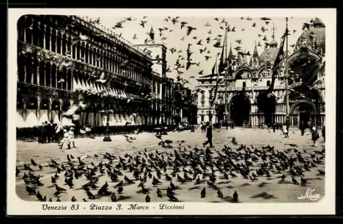 AK Venezia, Piazza San Marco, Piccioni