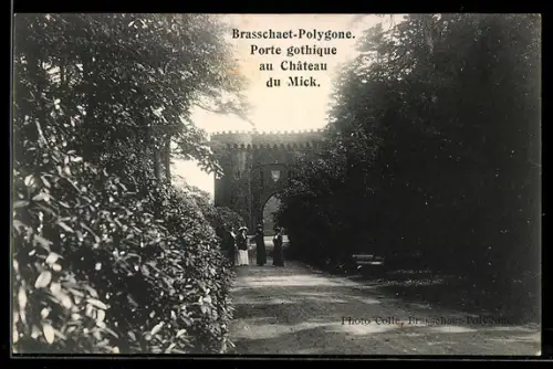 AK Brasschaet-Polygone, Porte gothique au Château du Mick