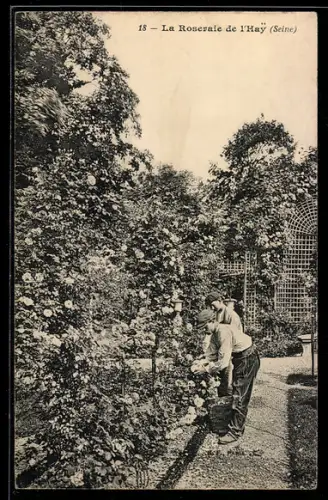 AK L’Haÿ-les-Roses, La Roseraie