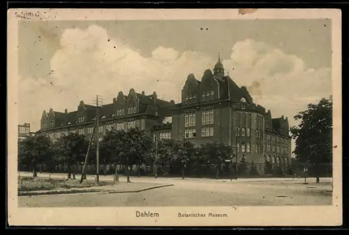 AK Berlin-Dahlem, Strassenpartie am Botanischen Museum