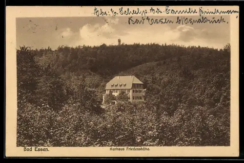 AK Bad Essen, Kurhaus Friedenshöhe aus der Vogelschau
