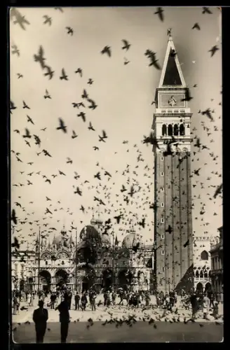 AK Venezia, Piazza San Marco e volata dei piccioni