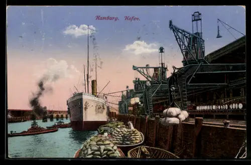 AK Hamburg, Partie am Hafen mit Krähnen und angelegtem Passagierdampfer