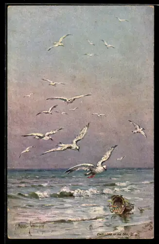 Künstler-AK Raphael Tuck & Sons Nr. 9184: Summer Seas, Dwellers of the Sea