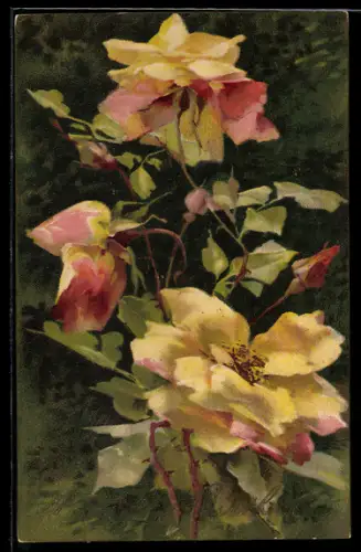 Künstler-AK Raphael Tuck & Sons Nr. 6999: Roses