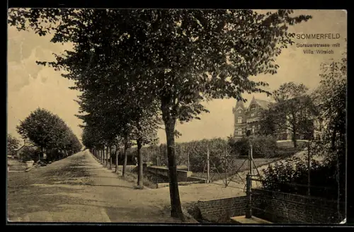 AK Sommerfeld, Partie in der Sorauerstrasse mit Villa Wirsich