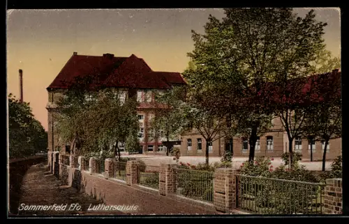 AK Sommerfeld /Ffo., Lutherschule in der Aussenansicht mit Grünanlagen