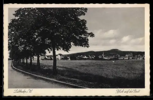 AK Lübbecke i. W., Teilansicht mit Umgebung