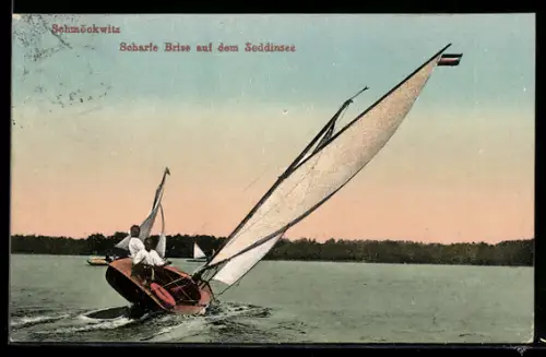 AK Berlin-Schmöckwitz, Segelboot während einer scharfen Brise auf dem Seddinsee