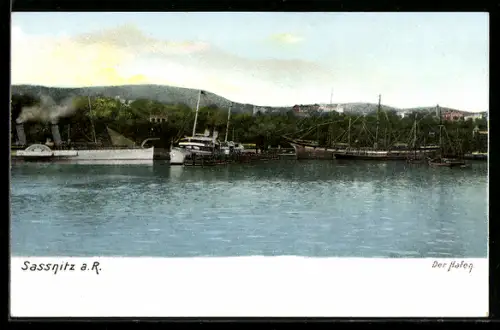 AK Sassnitz a. R., Partie am Hafen mit Schiffen