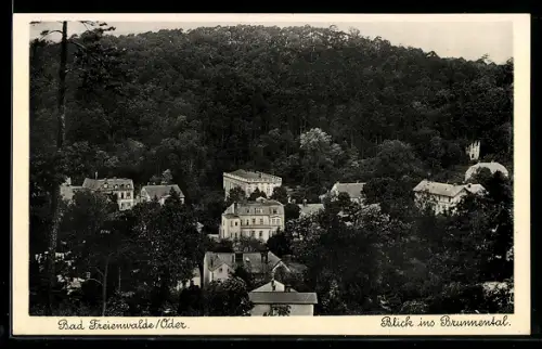 AK Bad Freienwalde /Oder, Blick ins Brunnental