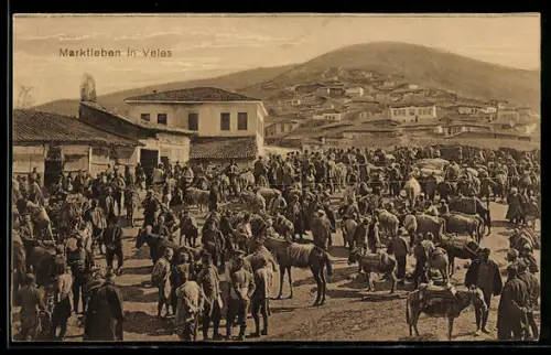 AK Veles, Marktleben