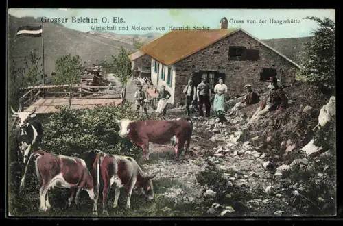 AK Grosser Belchen /O. Els., Wirtschaft und Melkerei von Heinrich Studer