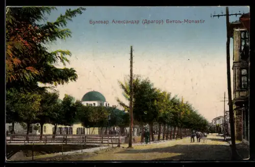 AK Bitol-Monastir, Boulevard Aleksandar, Dragor