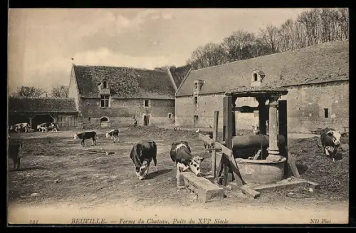 AK Beuville, Ferme du Chateau, Puits du XVIe Siecle