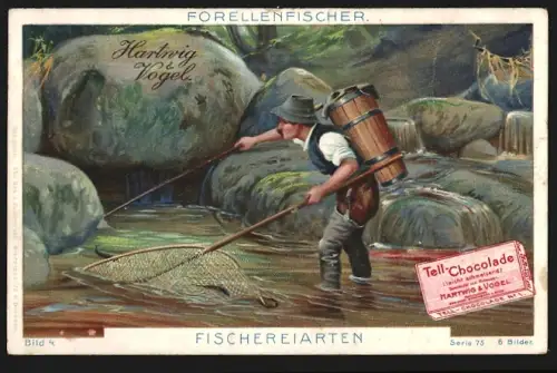 Sammelbild Dresden, Hartwig & Vogel, Tell-Schokolade, Forellenfischer im Wasser