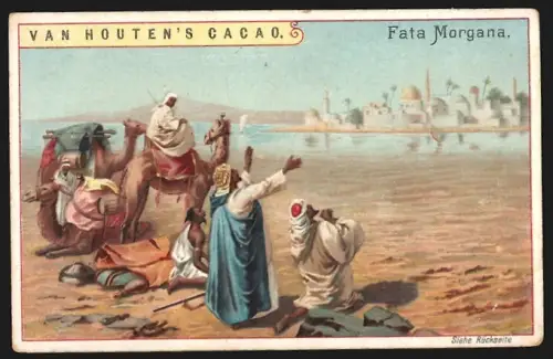 Sammelbild Van Houten, Kakao, Fata Morgana