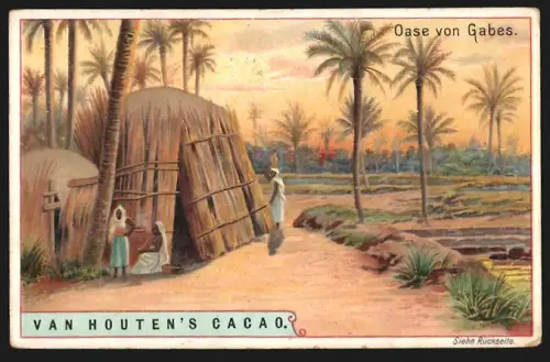 Sammelbild Van Houten, Kakao, Oase von Gabes