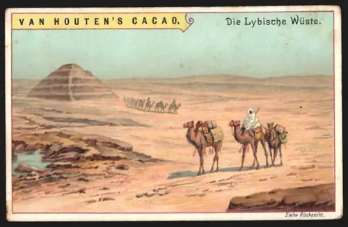 Sammelbild Van Houten, Kakao, Die Lybische Wüste