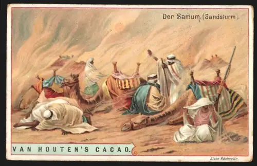 Sammelbild Van Houten, Kakao, Der Samum