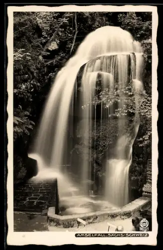 Foto-AK Walter Hahn, Dresden, Nr. 3307: Rathen, am Amselfall