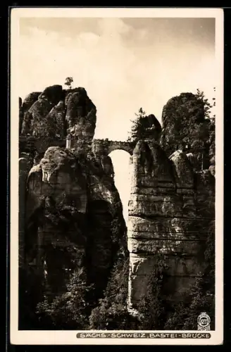 Foto-AK Walter Hahn, Dresden, NR. 3211: Bastei - Brücke